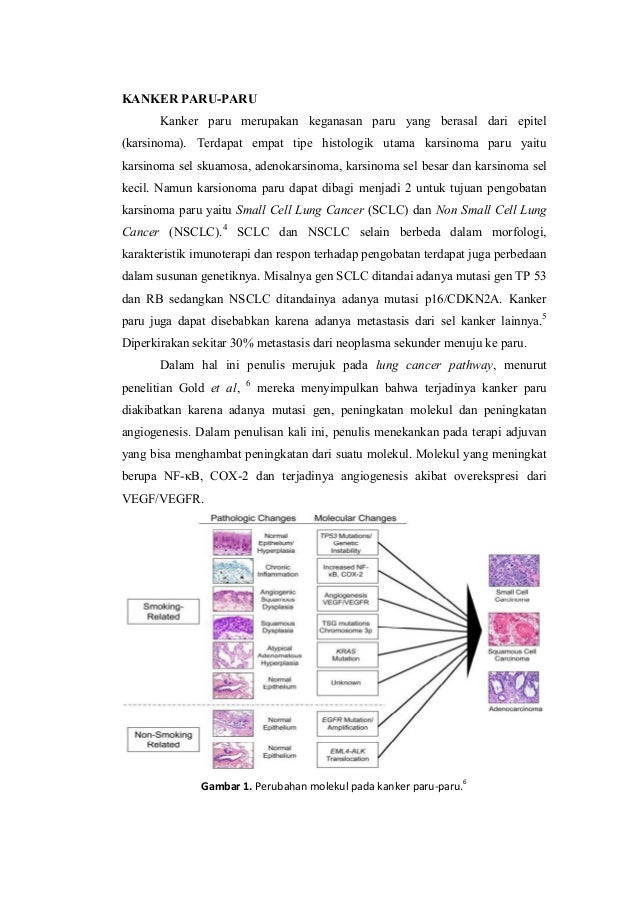 Реферат: Cancer Essay Research Paper Running head CANCERCancerLots